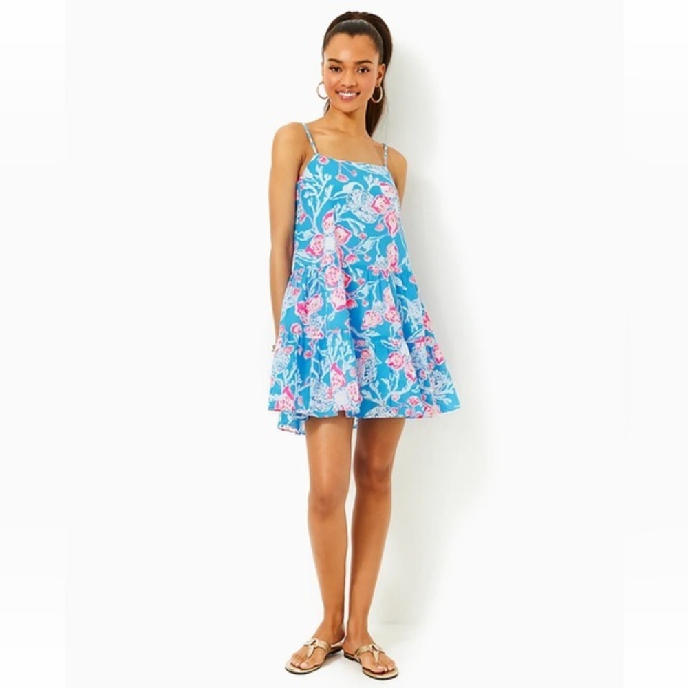 LILLY PULITZER ALESSIA COTTON PINK BLUE BAHAMIAN RHAPSODY FLORAL PREPPY DRESS XL - Picture 2 of 6